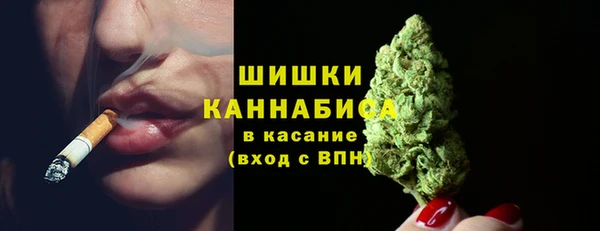 mdpv Новозыбков