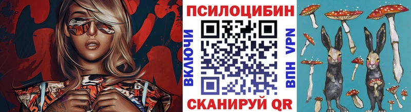 хочу   Ливны  Галлюциногенные грибы Cubensis 