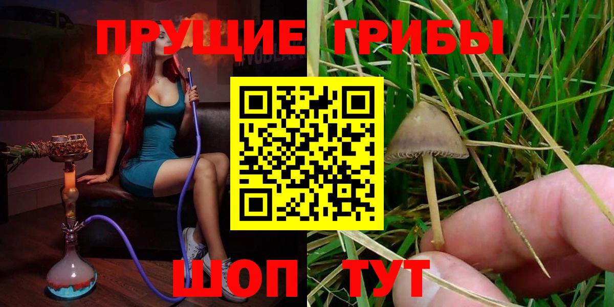 Ливны  Галлюциногенные грибы Magic Shrooms  Вход с VPN  Псилоцибиновые грибы Psilocybe 