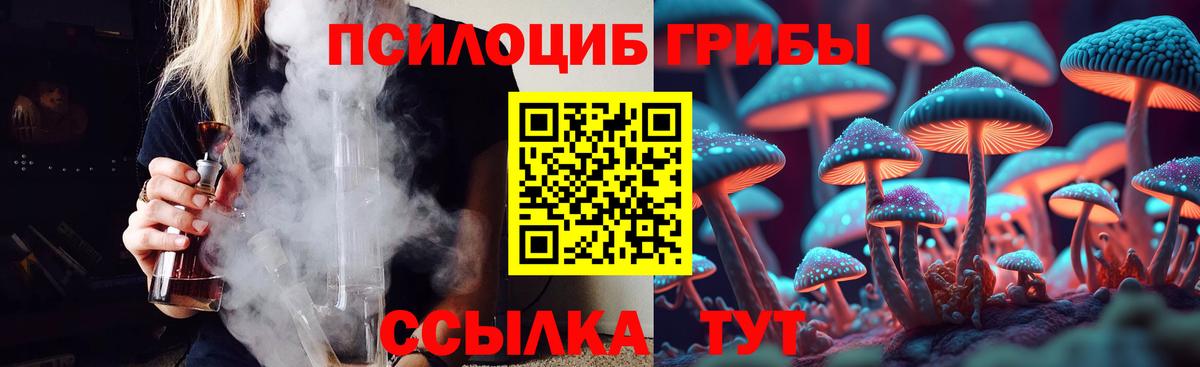 Псилоцибиновые грибы Psilocybine cubensis Ливны